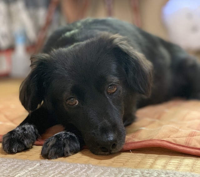 お金持ちになる一番簡単な方法とは 黒犬の研究所 空調屋